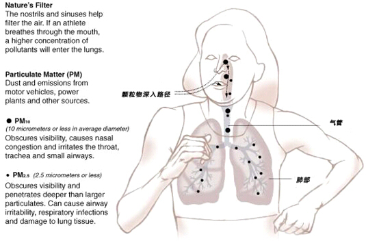 pm2.5-2