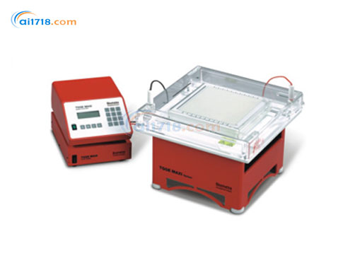 TGGE MAXI溫度梯度凝膠電泳